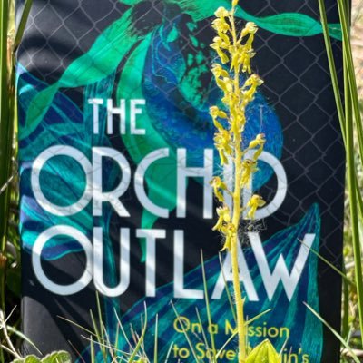 Author, Orchid Geek, Adventurer, Mastermind, Educator, Outlaw, Dad. Not necessarily in that order. main account is on Insta (link below)