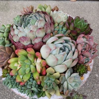 momomarumarunn's profile picture. 