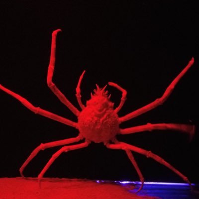 何をしてるかより、今の自分がどう在るか。 湾岸エリアでchillしてる野郎です ポジティブなポストが好物です 湾岸の民よ、みんな平和に生きてくれpeace, love and happiness