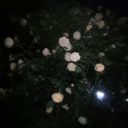 多喝水さんのプロフィール画像