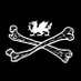 Welsh Pirates Re-Enactment ☠️ (@CymruPirate) Twitter profile photo