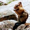 cocoserena7's profile picture. 英語学習のためのアカウント。だけど最近はNetflixを流し見するだけの超ゆる学習者になりました。いつか流暢に話せる日を夢見て…
