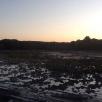 maria cuffaro (@mariacuffaro) 's Twitter Profile