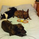 emma whitfield - @emma_whitfield - Twitter