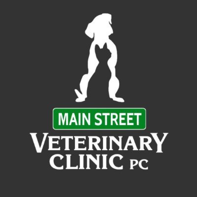 We are a women-owned veterinary clinic in Blacksburg, Virginia with a focus on personalized care for cats and dogs.