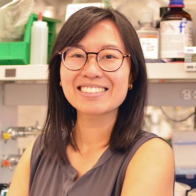 @NSFGRFP fellow studying autophagy and innate immunity with @CadwellLab / @TorresVJ_Lab • she/her #firstgen 🥏