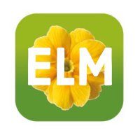 Elm(@ElmTreeEPH) 's Twitter Profile Photo