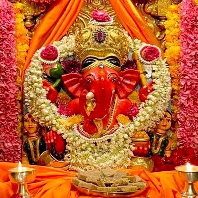 studythings2's profile picture. 𝕋𝕙𝕖𝕚𝕣 𝓲𝓼 𝓷𝓸 𝓼𝓾𝓯𝓯𝓮𝓻 𝓲𝓯 𝔂𝓸𝓾 𝓵𝓸𝓿𝓮 𝓽𝓱𝓮 𝓹𝓻𝓸𝓬𝓮𝓼𝓼