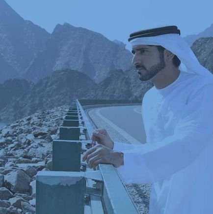I'm Sheikh Hamdan bin Mohammed bin Rashid Al Maktoum, Emirates royal councilor and politician. I have been the crown prince of Dubai since 2008.