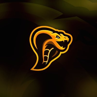 Fortnite Youtuber/Streamer · 98.000+ Subscribers.
Content creator for ??