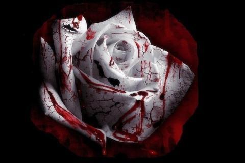 TigrrgrrR's profile picture. Pouncemeister...giving loving,caring,sneaky Pounces...because Tiggers do that best!