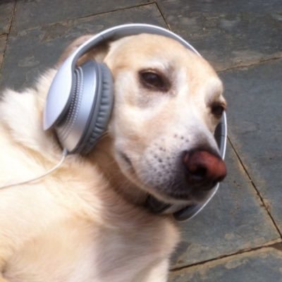 hgzw0's profile picture. 패션트레저메이커