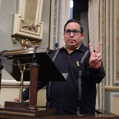 Diputado Local de la LXI Legislatura del H. Congreso del Estado de Puebla. Integrante de la Comisión Nacional de Elecciones de morena.