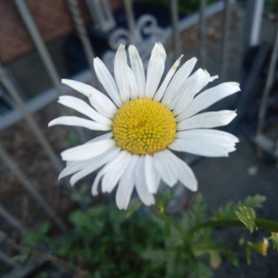 morri85's profile picture. 