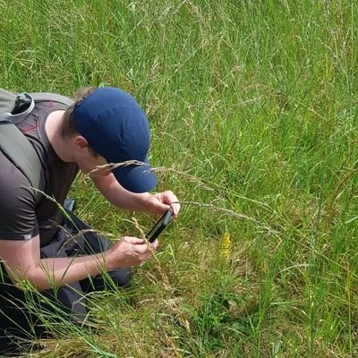 MTU Wildlife Biology, now a Msc in Plant Ecology student at University of Galway. BSBI VCR for Co. Limerick. Sharing my botanical finds 🌼🌿🪻