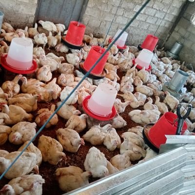 CHRISTO19093990's profile picture. Don't worry about the world crisis keep on pushing you'll achieve your goals