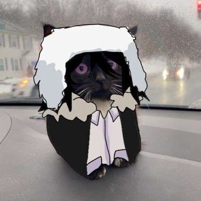 MsFancyHat's profile picture. 𝙄 𝙇𝙊𝙑𝙀 𝘽𝙎𝘿💕💐