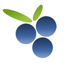 findberry's profile picture. Site search that makes sense. We enable web developers easily add high quality site search feature to their websites.