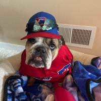 Cambridge/Belle Valley American Legion Baseball (@cambridgepost84) Twitter profile photo