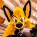 Nugget The Fox (@nuggetthefox) Twitter profile photo Nugget The Fox (@nuggetthefox) Twitter profile photo