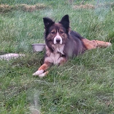 eileenhennessy7's profile picture. 