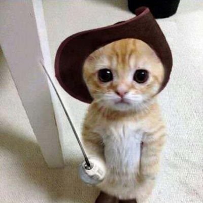Name is El Gato.
||My job is owning @Ahmad75_lfc (main) ||