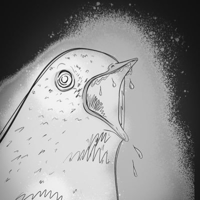 SalivaBirds's profile picture. ‘At least you’re not shit’ (my partner 2024)