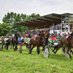Hippodrome du Dorat (@hippodromedorat) Twitter profile photo Hippodrome du Dorat (@hippodromedorat) Twitter profile photo