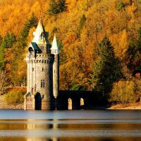 Tony Larner (@tlarner) 's Twitter Profile Photo