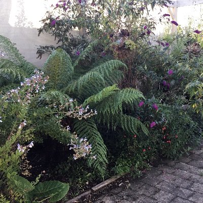 AHadley71763's profile picture. 