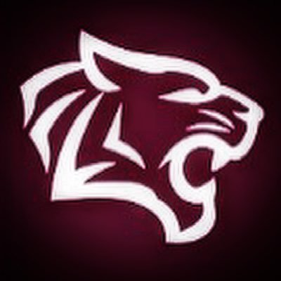The Official Twitter account of Rhodes Wildcats Athletics. #SAISD