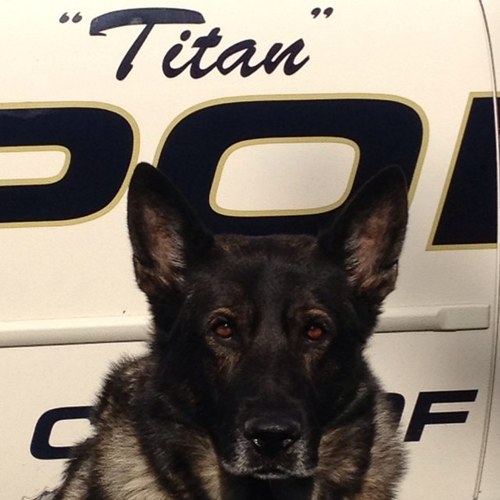 k9brian22's profile picture. I'm the front seat passenger to my back seat driver.