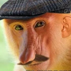 AASgrUp's profile picture. @IntractAmbassador Tabi 🟧