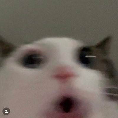 not1t44444's profile picture. 