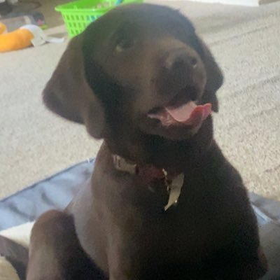 spooksbedumb's profile picture. Some random idiot