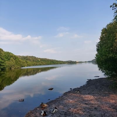 rhysjones135's profile picture. 