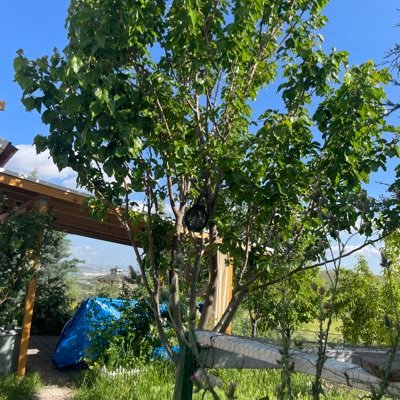 Alphan0640's profile picture. 