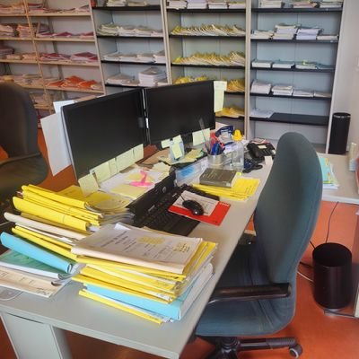 Gestora Procesal.
Si los tontos volaran no veríamos el sol
