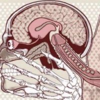 coom (@givemefate) 's Twitter Profile