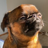 DJN (@drisone78) 's Twitter Profile