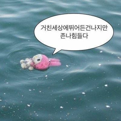 납작하고 얄팍하며 단순한 사람입니다.
분노의 혼잣말이 많고 마음찍기를 많이합니다.