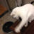 takashi80p_s's profile image