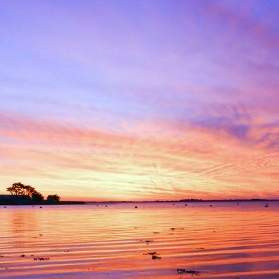 Maria1A__'s profile picture. MKG/MGMT studies ♡ Member of an eco-friendly asso ♡ Poetess & fan of #haiku ✍ ♡ Lost in reveries 💭#WritingCommunity #photography #art