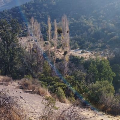 RaulEsp52279129's profile picture. determinación estoica, resistencia, coraje, valentía, fuerza de voluntad, tenacidad y capacidad de recuperación”.