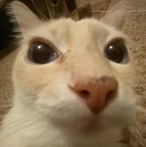 gabyさんのプロフィール画像