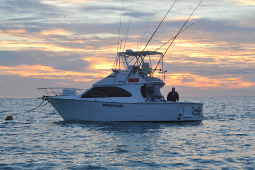 Blue Oceans is the leading gamefishing operator in South East Asia.