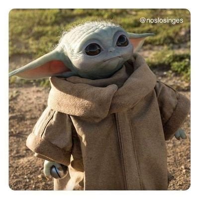 santiagoetnada's profile picture. Viajero del tiempo. Me gustan las matas.