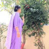 Manjeet Tiwana (@tiwana_manjeet) 's Twitter Profile