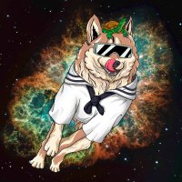 Bernardo Steve (@bernardost20035) Twitter profile photo