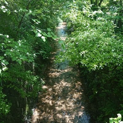 loftball_quiz's profile picture. あーいとぅいまてーん